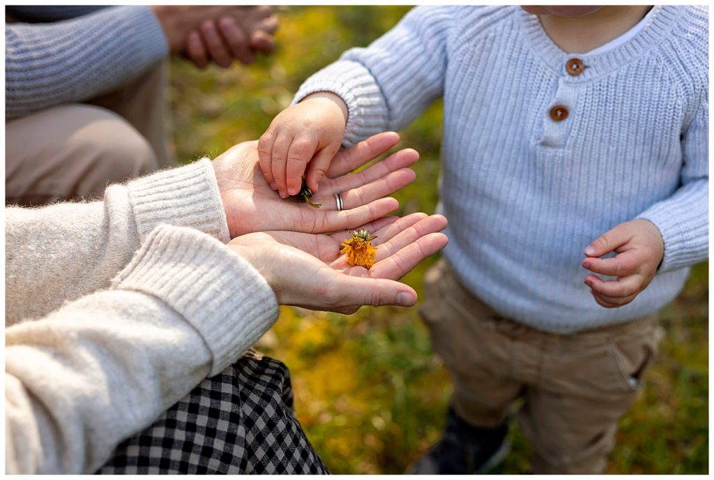 Adelaide Hills Family Session Simpson