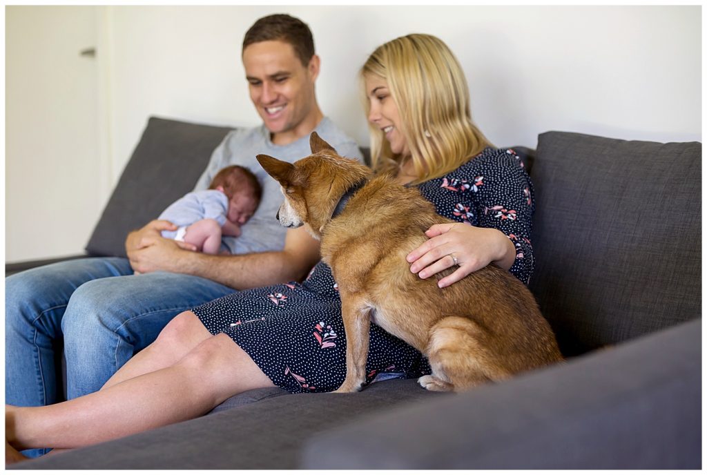 Adelaide Hills Newborn Session Sullivan